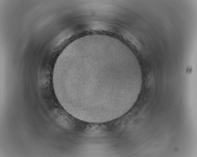 X0000091290824200708101244