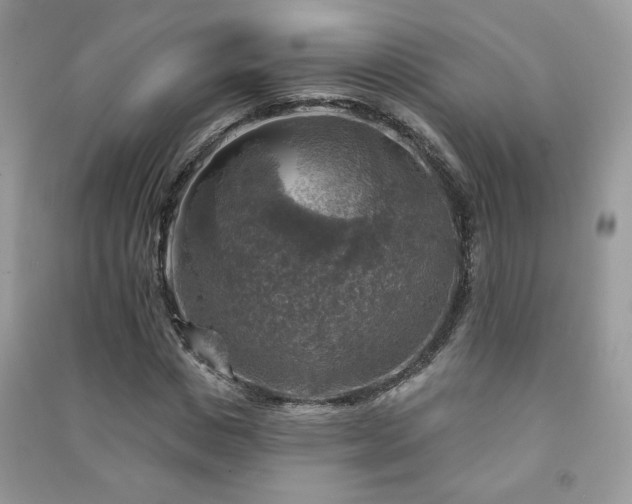 X0000091290825200708101244