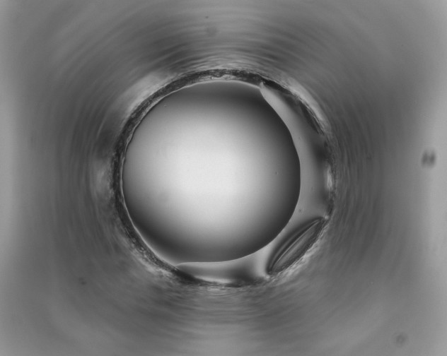 X0000091290826200708101244