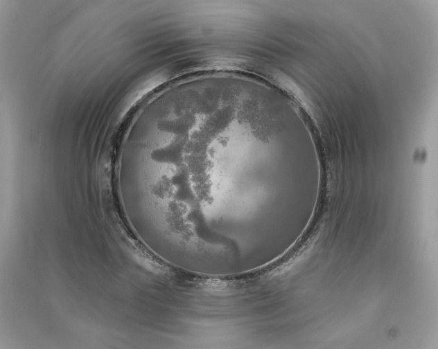 X0000091290827200708101244