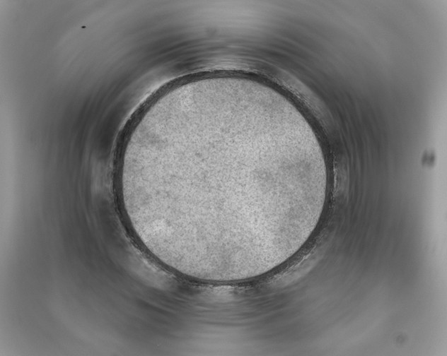 X0000091290828200708101244