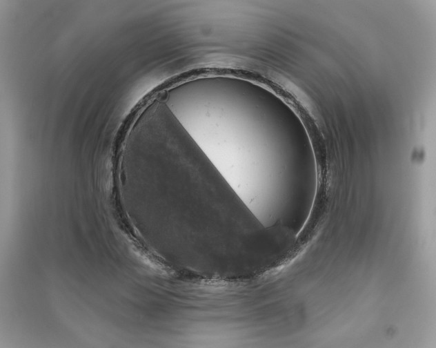 X0000091290829200708101244