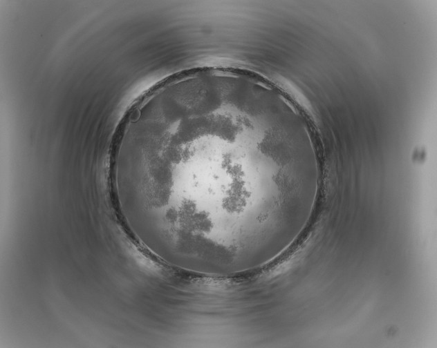 X0000091290831200708101244