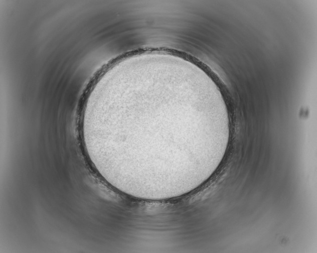 X0000091290832200708101244