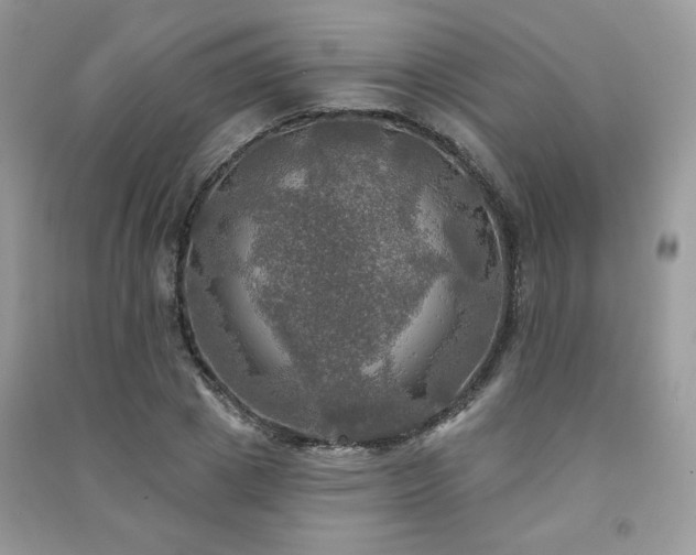 X0000091290833200708101244