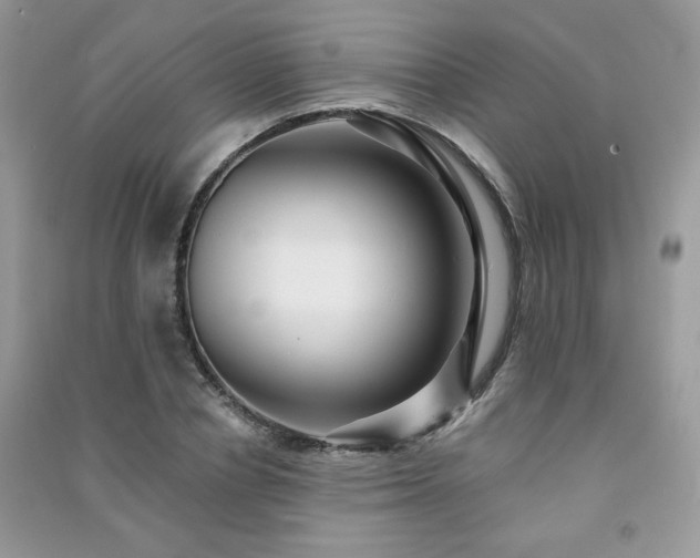 X0000091290834200708101244