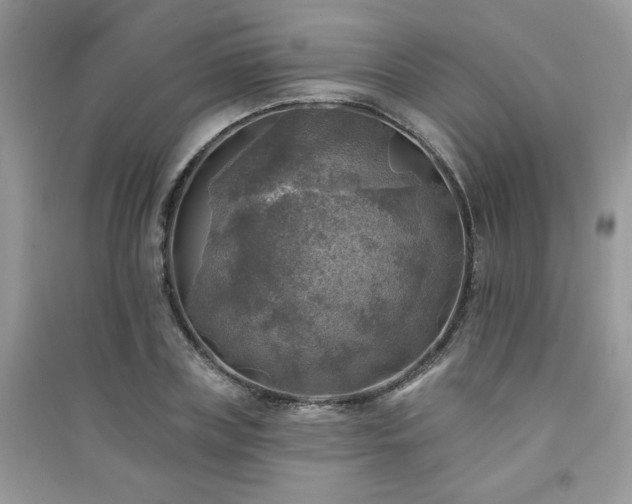 X0000091290835200708101244