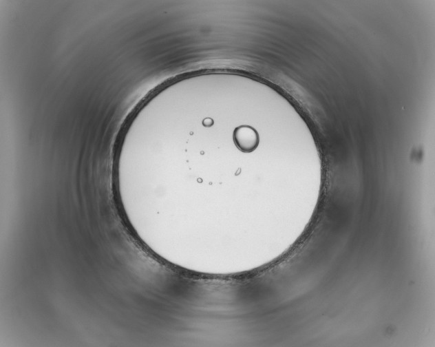 X0000091290836200708101244