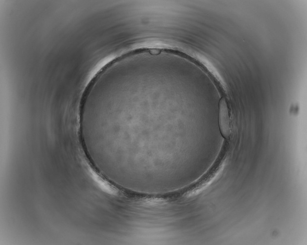 X0000091290837200708101244