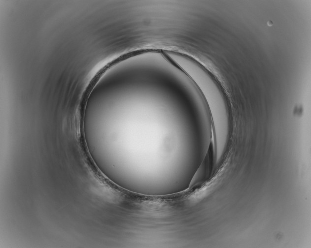 X0000091290838200708101244