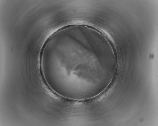 X0000091290839200708101244