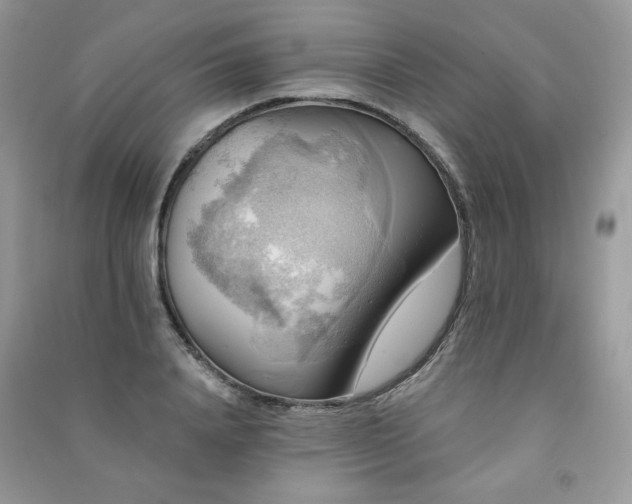 X0000091290840200708101244