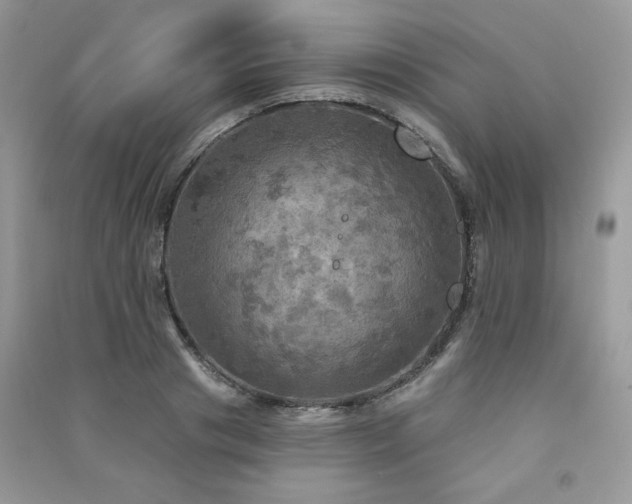 X0000091290841200708101244