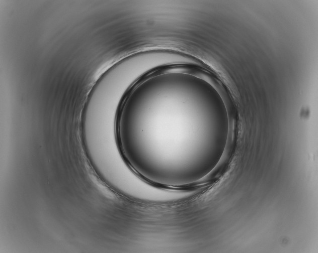 X0000091290842200708101244