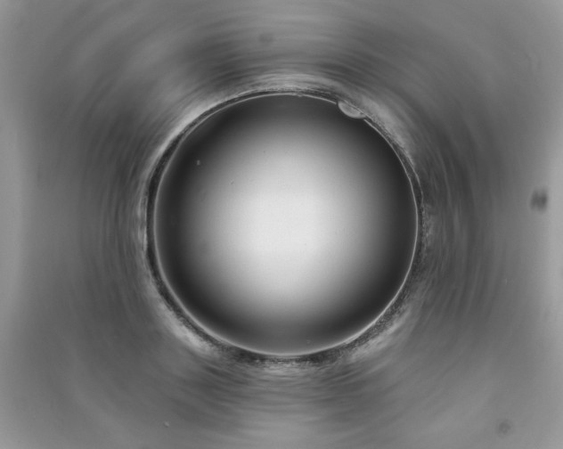 X0000091290843200708101244