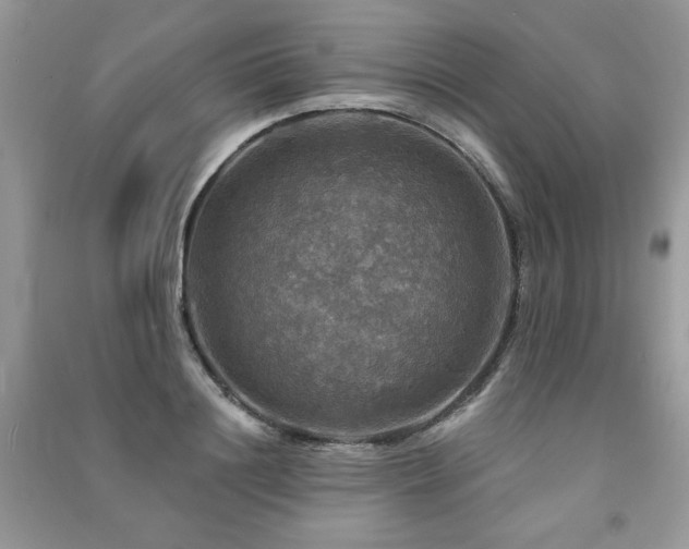 X0000091290844200708101244