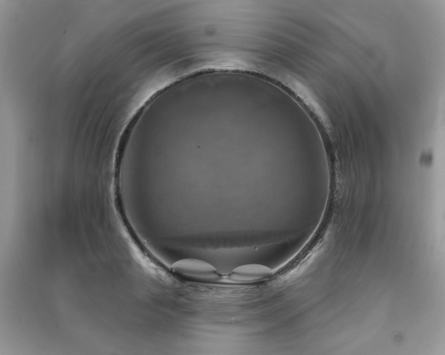 X0000091290845200708101244