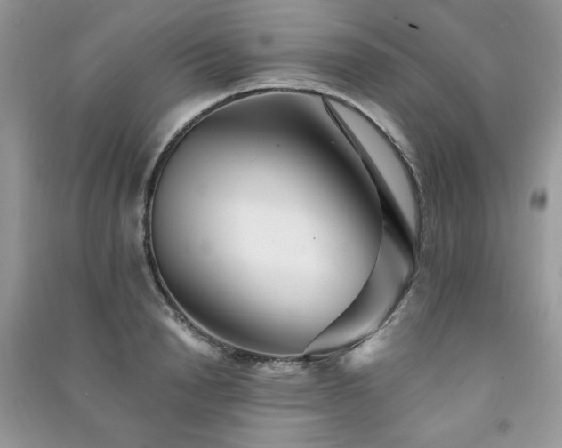 X0000091290846200708101245