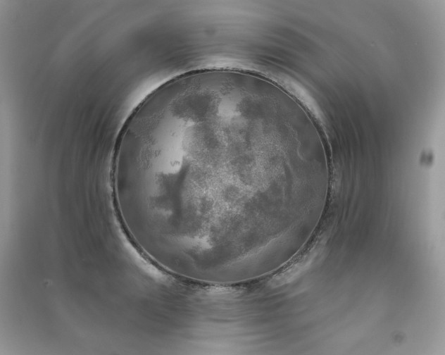 X0000091290847200708101245