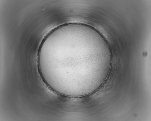 X0000091290848200708101245