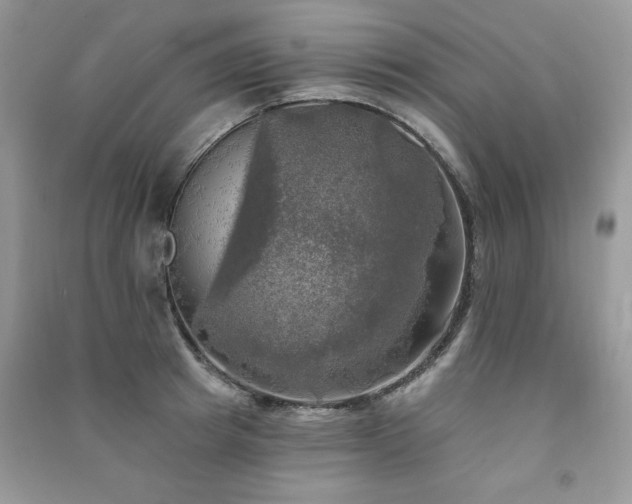 X0000091290849200708101245