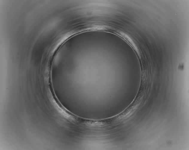 X0000091290851200708101245