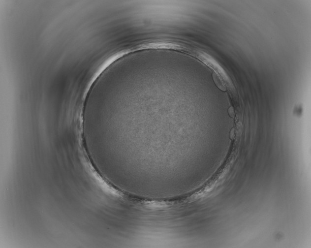 X0000091290852200708101245