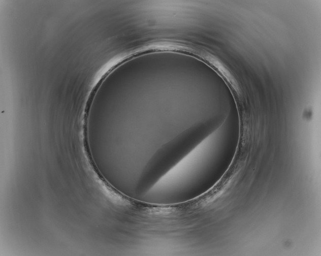 X0000091290853200708101245