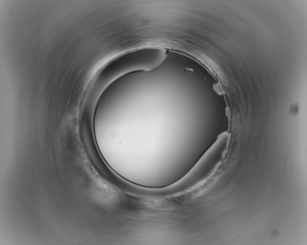 X0000091290854200708101245