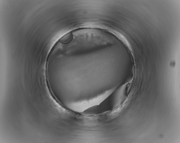 X0000091290855200708101245