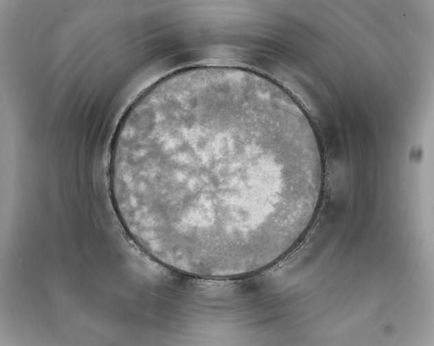 X0000091290856200708101245