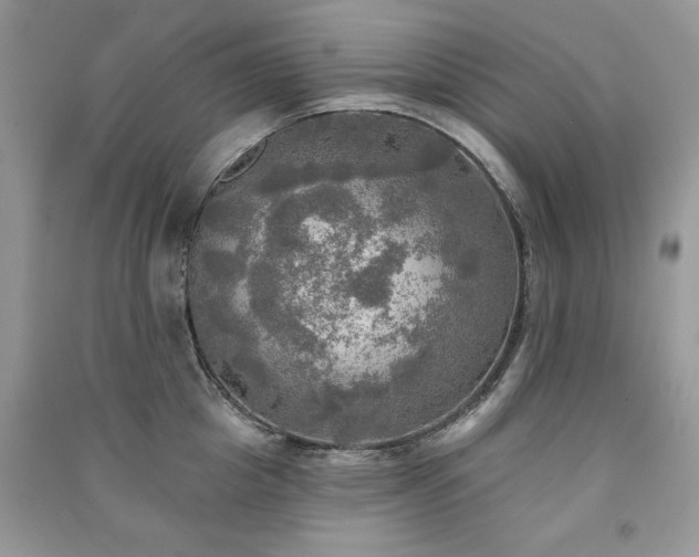 X0000091290857200708101245