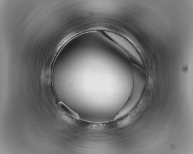 X0000091290858200708101245