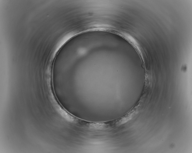 X0000091290859200708101245