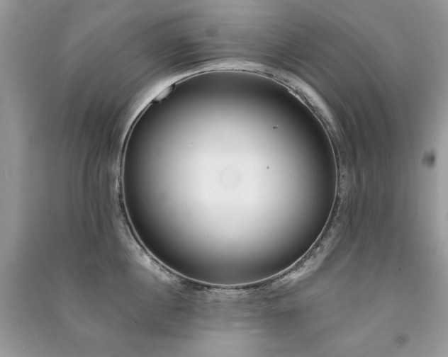 X0000091290860200708101245