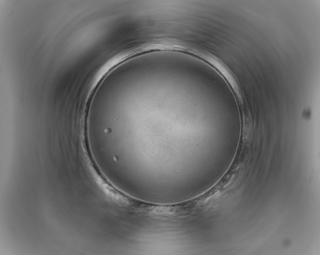 X0000091290861200708101245