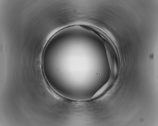 X0000091290862200708101245