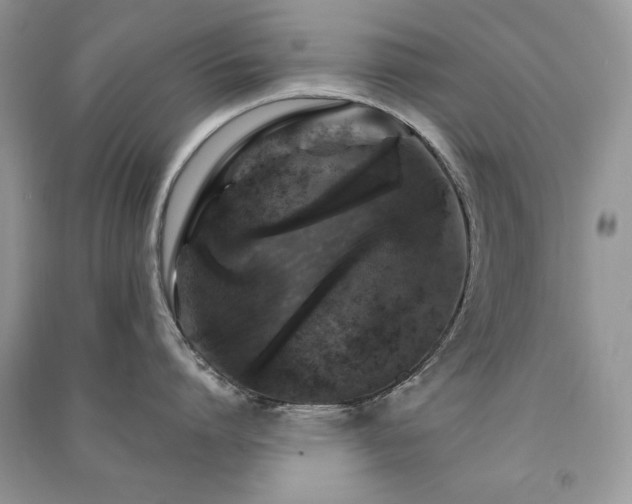 X0000091290864200708101245