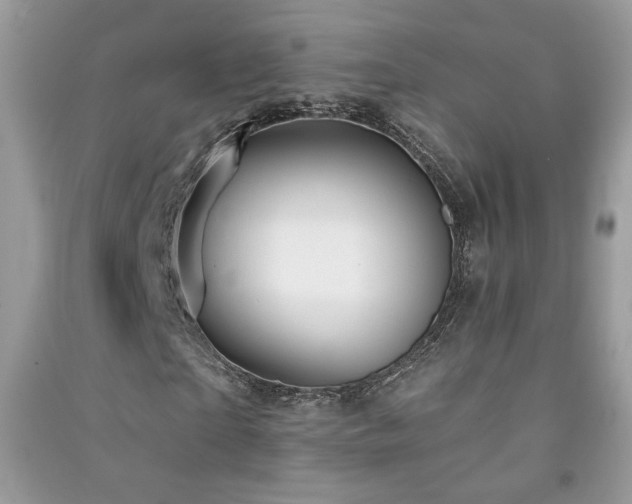 X0000091290865200708101244