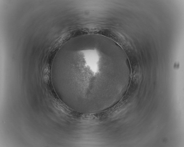 X0000091290866200708101244