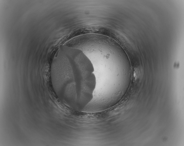 X0000091290867200708101244