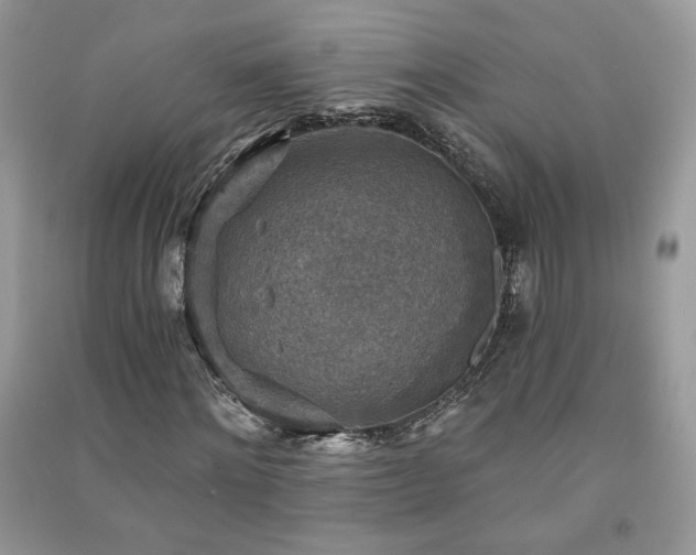 X0000091290868200708101244