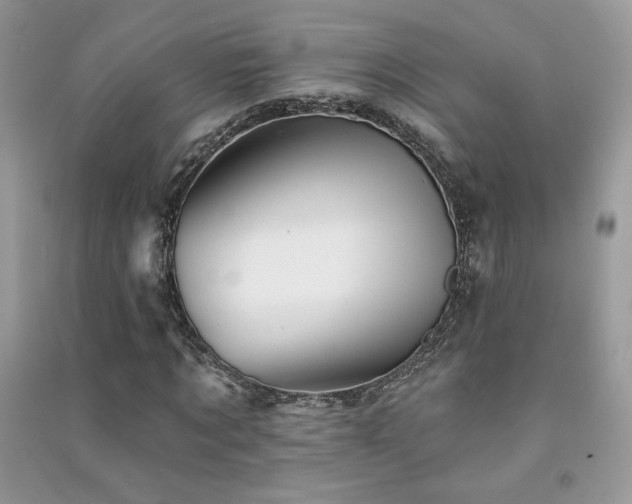 X0000091290869200708101244