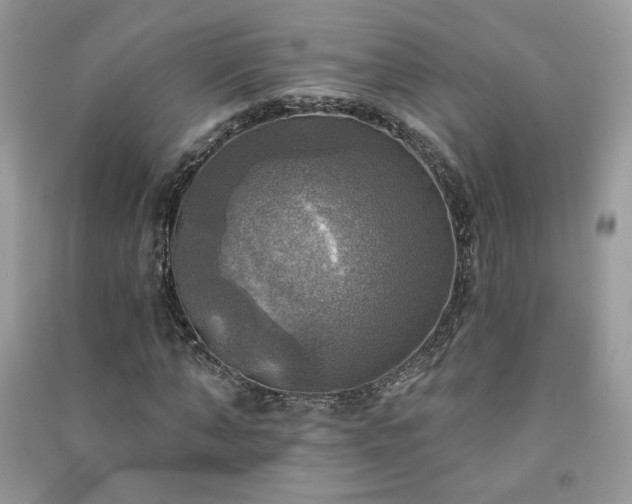 X0000091290870200708101244