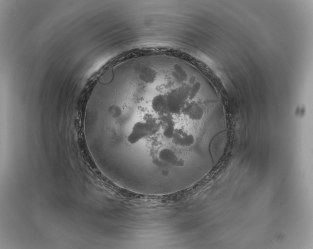 X0000091290871200708101244