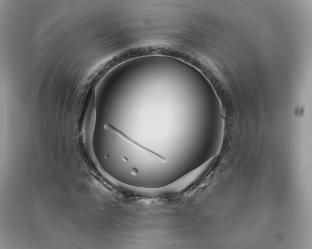 X0000091290872200708101244