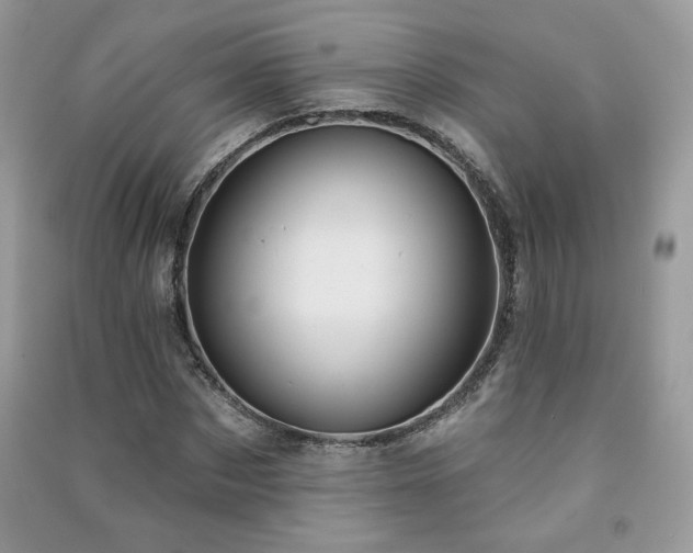 X0000091290873200708101244