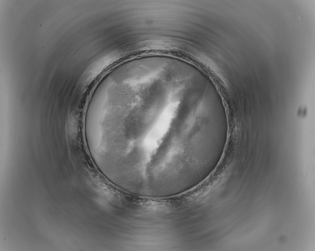 X0000091290874200708101244