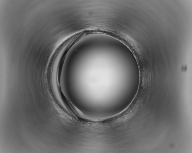 X0000091290876200708101244