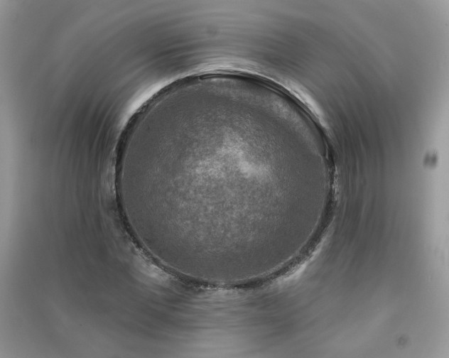 X0000091290877200708101244